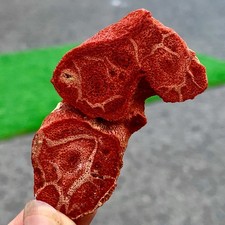 18GNatural Red Soft coral and