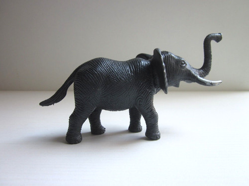 Elefante - , in