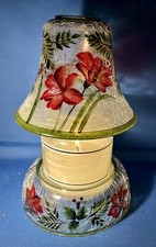 Amaryllis 🌺Crackle ✨Vaso