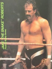 WWF WRESTLING SUPERSTARS