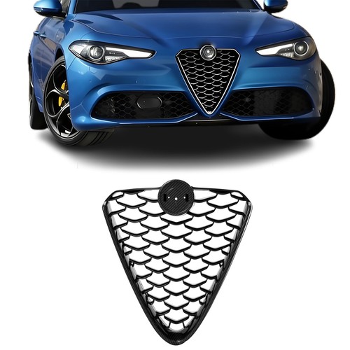 Griglia radiatore anteriore - griglia,