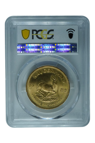 1983 oro sudafrica - 1,