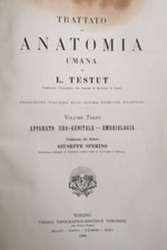 ANATOMIA UMANA VOLUME III -