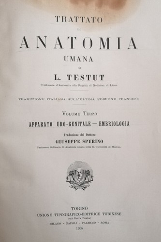 Anatomia umana volume iii - anatomia,
