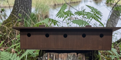 Sparrow nest box terrace - nest,