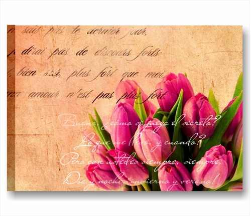Tulipani vintage quadro - tulipani,