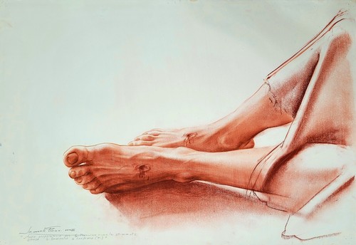 "S.Francesco riceve le