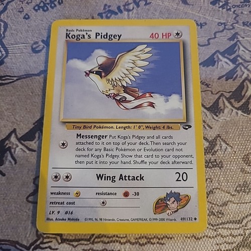 Koga pidgey 132 - koga's, 49/132