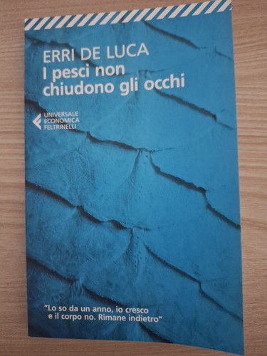 Libro pesci non chiudono gli - libro,
