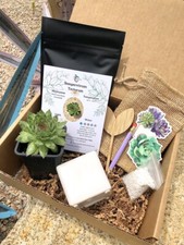 Confezione Regalo Succulenta -