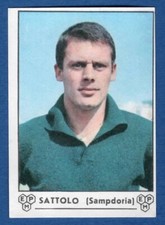 FIGURINA CALCIATORI PANINI