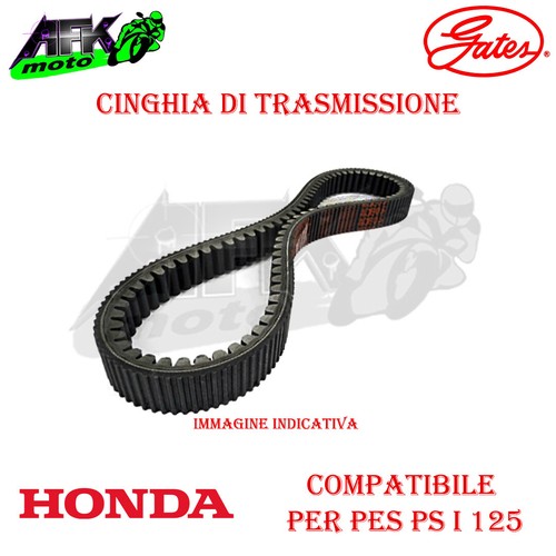 Cinghia trasmissione gates - cinghia,