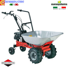 Carriola a Scoppio 123cc 4 Tempi a Benzina Motocarriola Motore Briggs Stratton