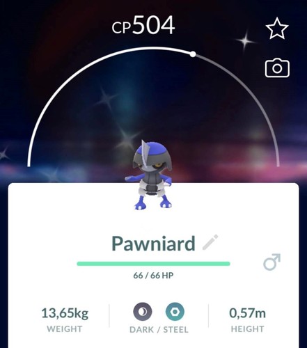 Pawniard lucido p t c - pawniard,