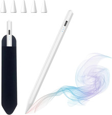 Penna per Apple Ipad