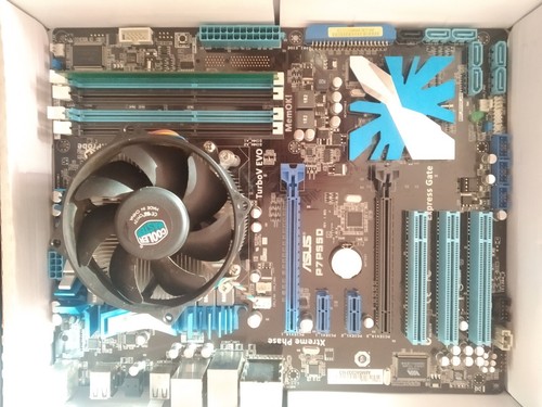 Scheda madre asus - madre,