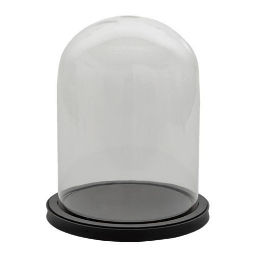 Espositore vetro cloche - espositore,