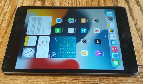 Apple ipad mini - 4, wifi