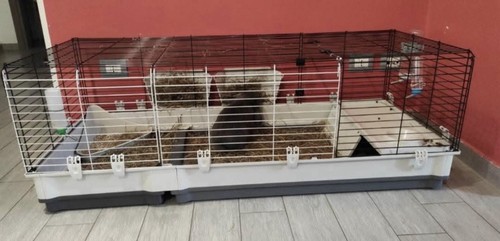 Gabbia per coniglio - gabbia,