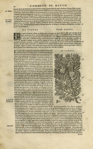 Stampa