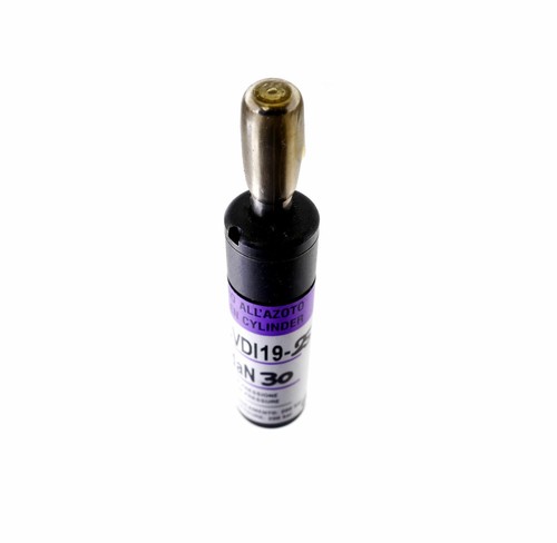 Bordignon cvid19 dan30 - dan30, gas