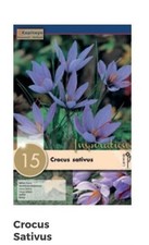 Bulbi di Crocus Sativus confezione da 15 pz