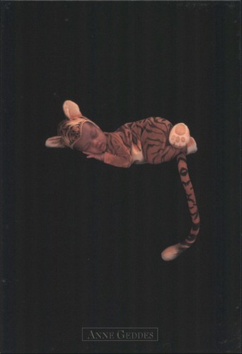 Costume tigre bambino