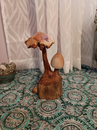 Scultura legno con fungo - in,