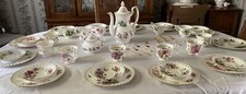 royal albert flower of the