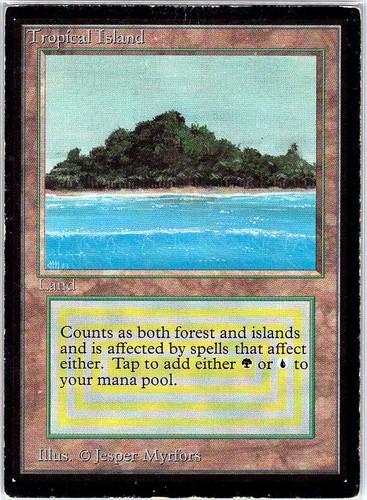 Tropical island rara - island,