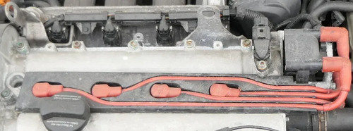 Polo 6n2 lupo - polo, cavo