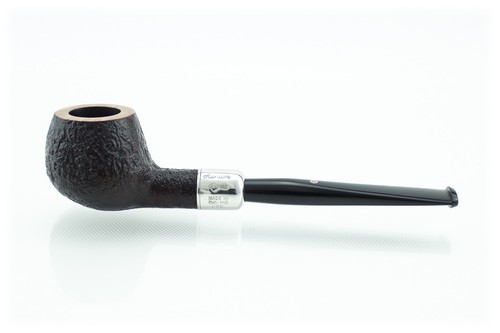 Pipa ashton brindle xx222 - ashton,