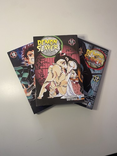 Demon slayer manga volumi - demon,