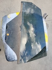 Vetro Fumè Porta Post Dx Ford Fiesta 2020