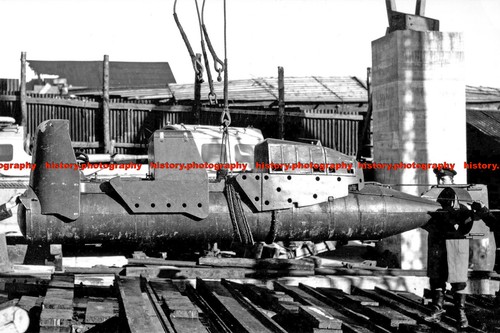 F009193 human torpedo british - human,