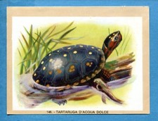 NATURAMA - Lampo 1968 -