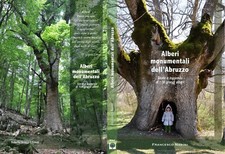 Grandi alberi d'Abruzzo