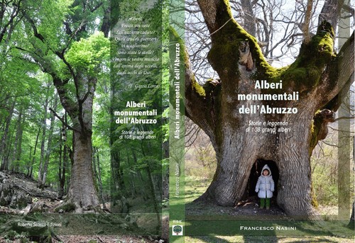 Grandi alberi abruzzo - alberi, d'abruzzo