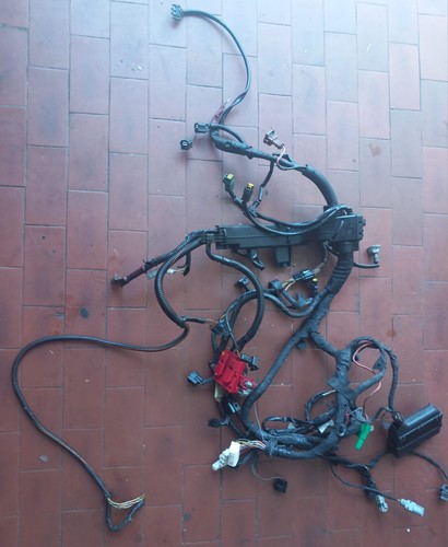 Cablaggio motore iniettori - cablaggio, motore/iniettori