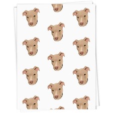 'Fawn Pit Bull Terrier'
