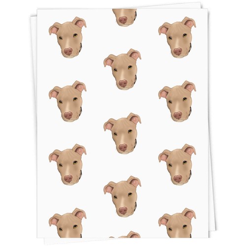 Fawn pit bull terrier - 'fawn, terrier'