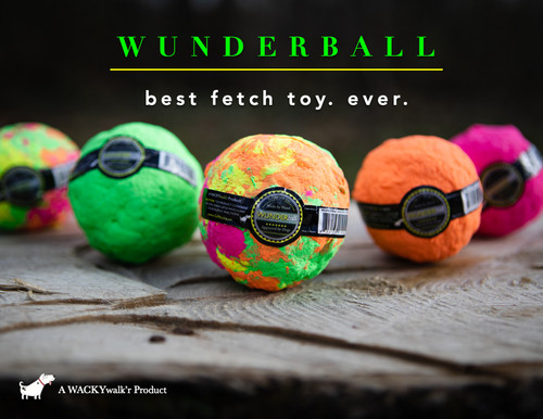 Wunderball best dog ball fetch - dog,