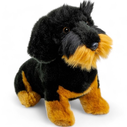 Carl dick bassotto - carl, pelo