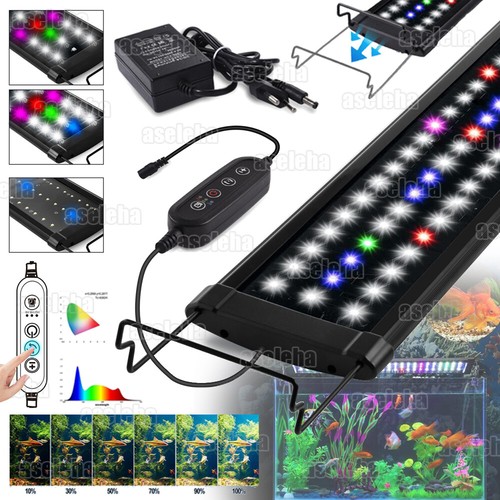 Lampada illuminazione acquario