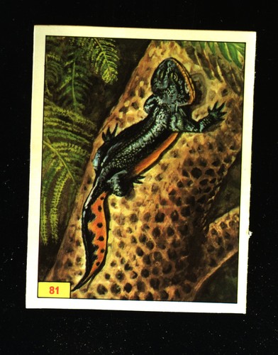 Animali preistorici - preistorici, (1974)