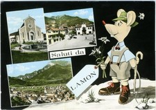 LAMON BELLUNO Saluti da