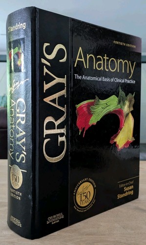 Gray anatomy the - gray's, anatomy:
