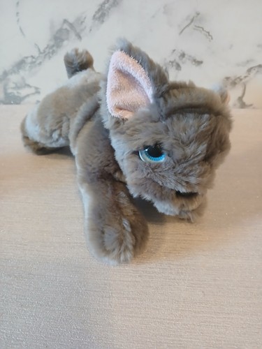 Chiglia giocattoli bulldog - chiglia,
