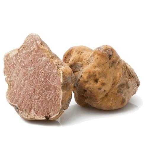 Tartufo bianco prima scelta - tartufo, di
