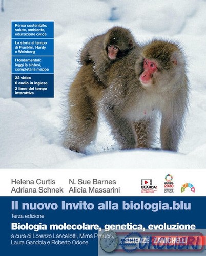 9788808608031 nuovo invito - 9788808608031,